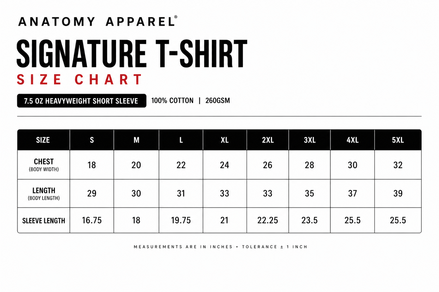 Anatomy Apparel™ Signature Tee White
